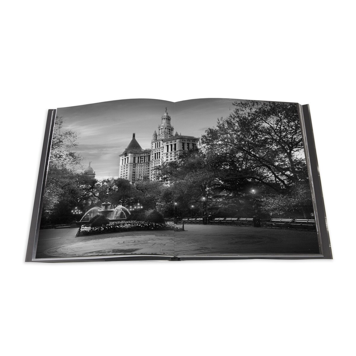 Light of New York (Capa dura) 8