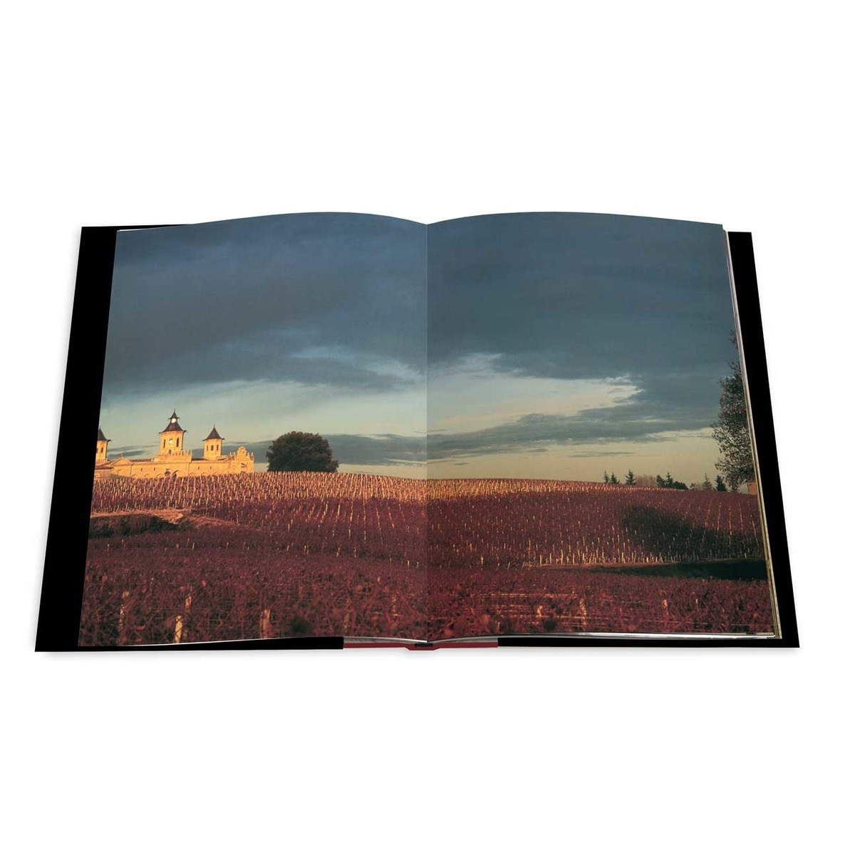 Bordeaux, Legendary Wines (Capa dura) 6
