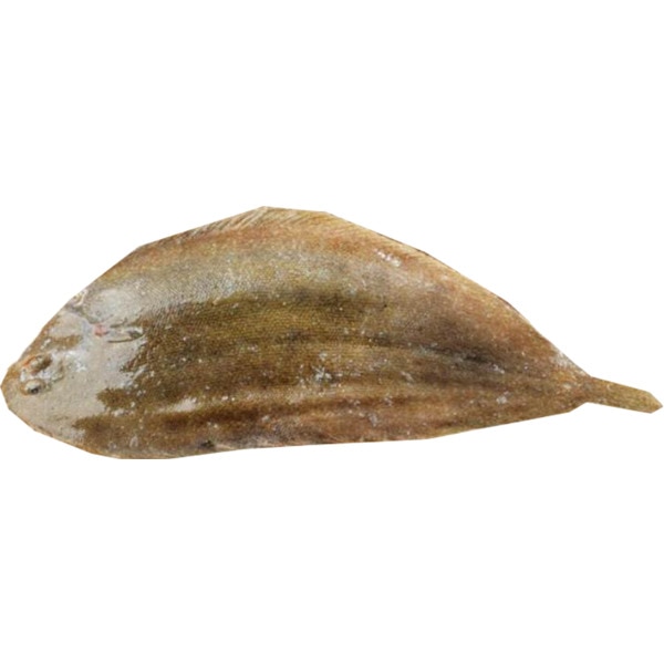 Linguado Areia Peso Aproximado por unidade 300 g