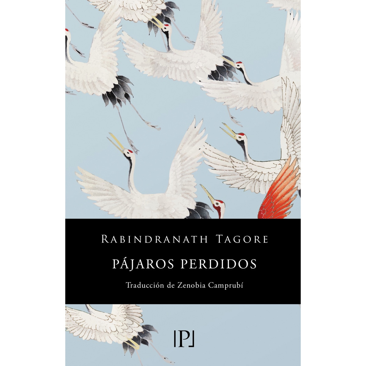 Imagem 0 de Pájaros perdidos (Sentimientos) (Capa mole com abas)