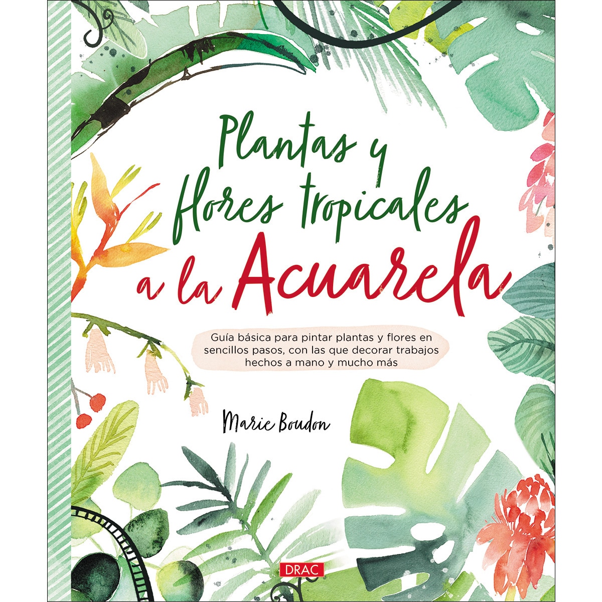 Imagen 0 de Plantas y flores tropicales a la acuarela