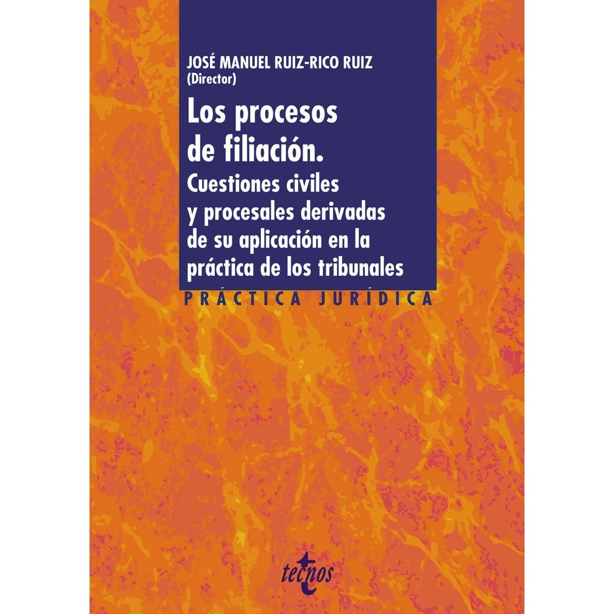 Los procesos de filiación: Cuestiones civiles y procesales derivadas de su aplicación en la práctica de los tribunales(Tapa blanda) 1
