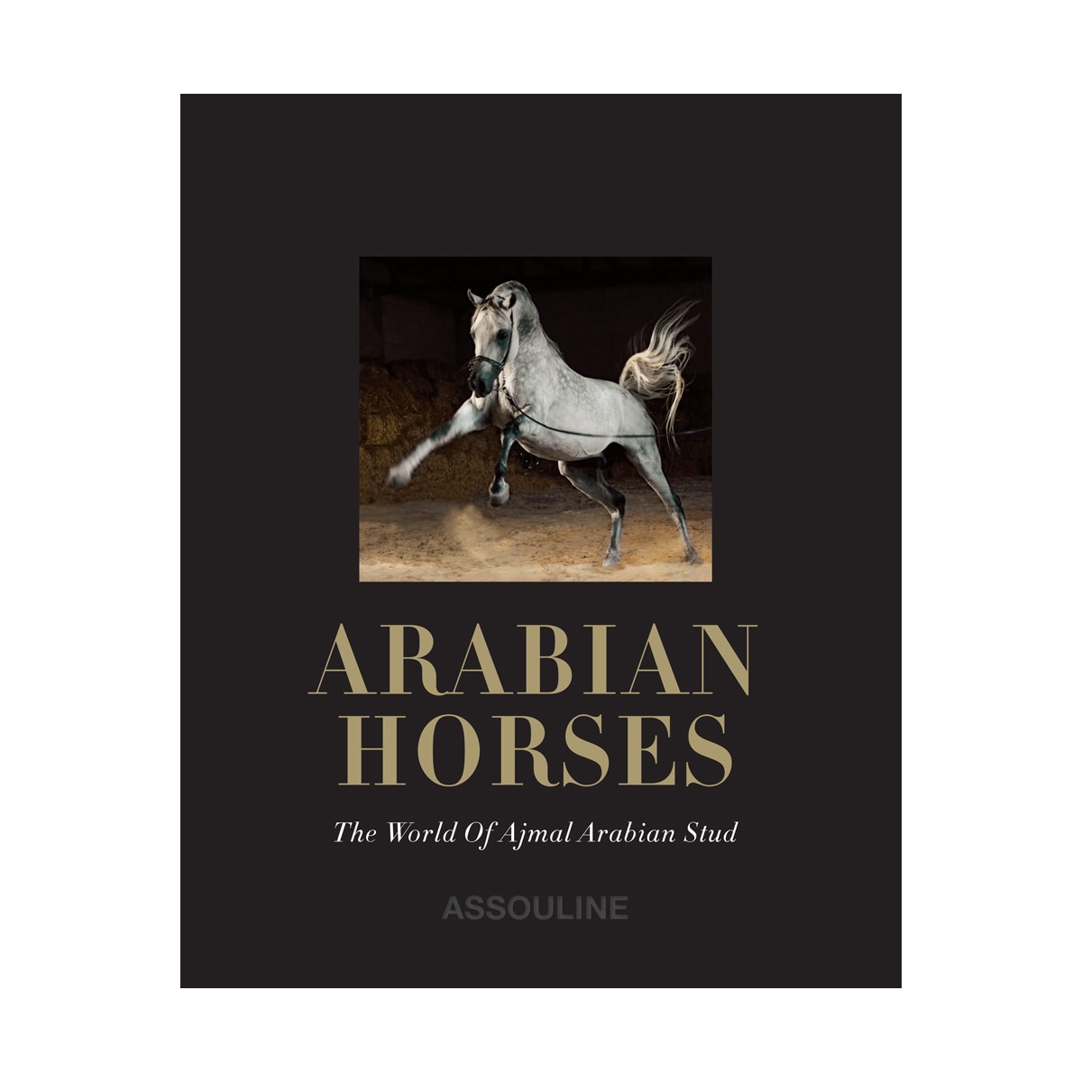 Arabian horses 2