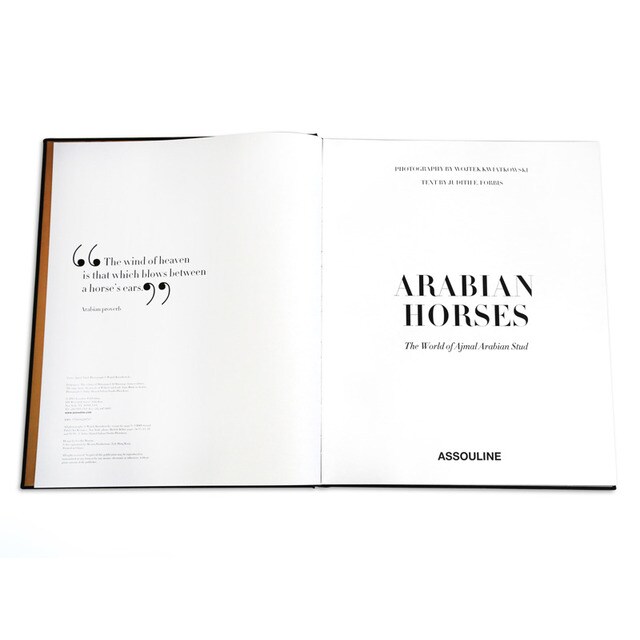 Arabian horses 3