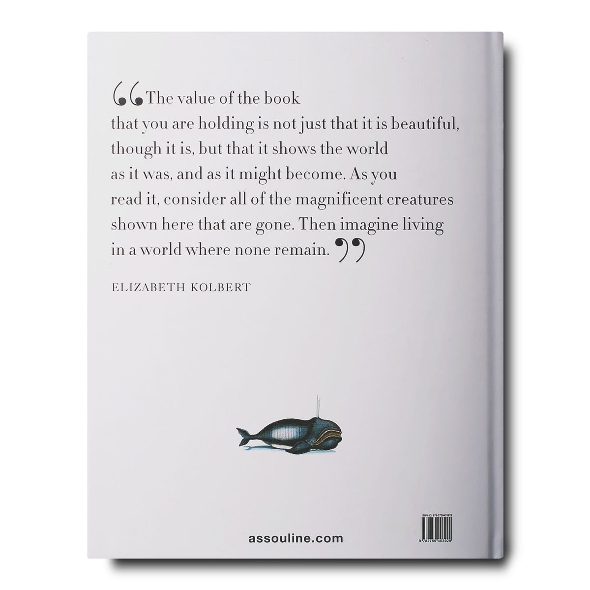 Lost fish 2