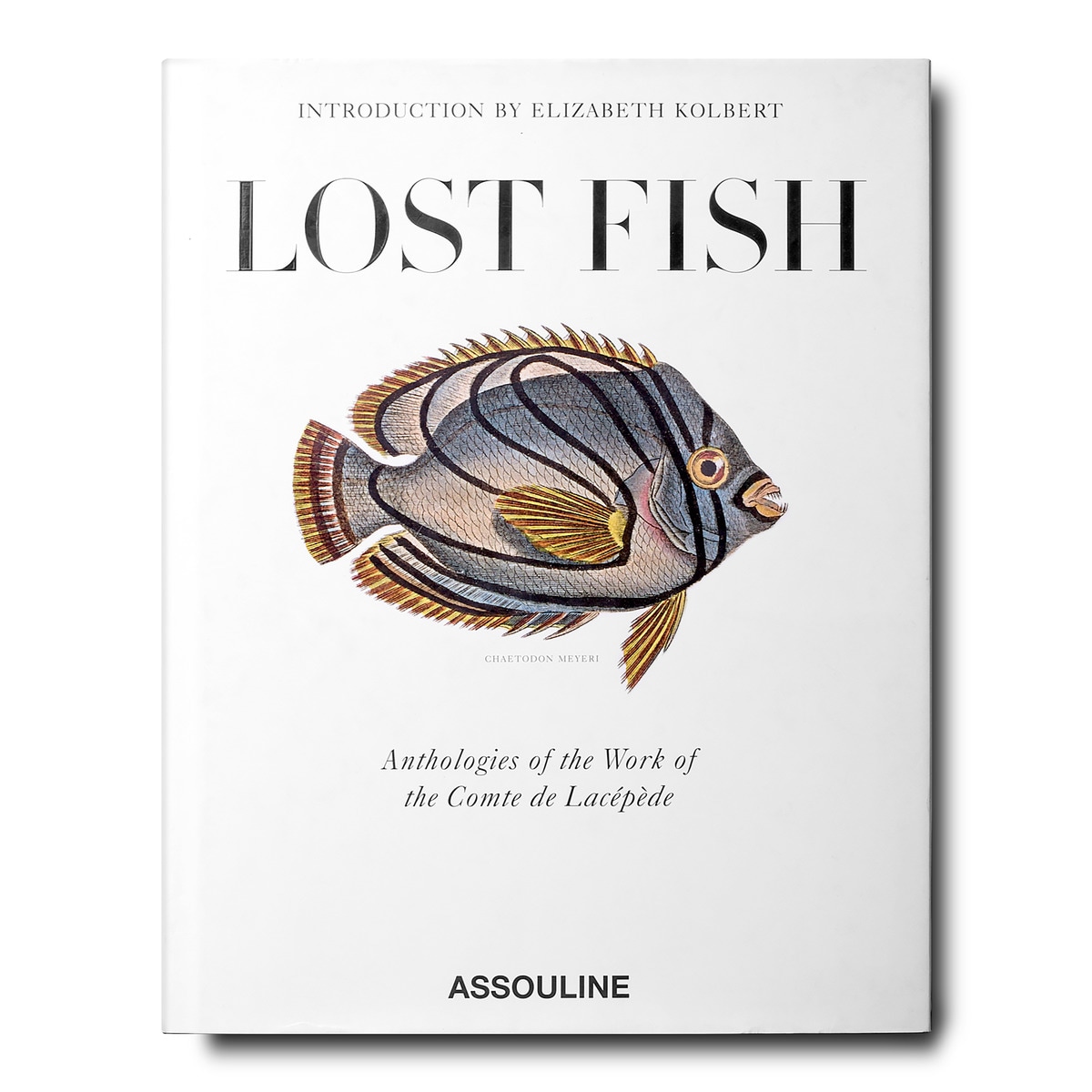 Lost fish 3