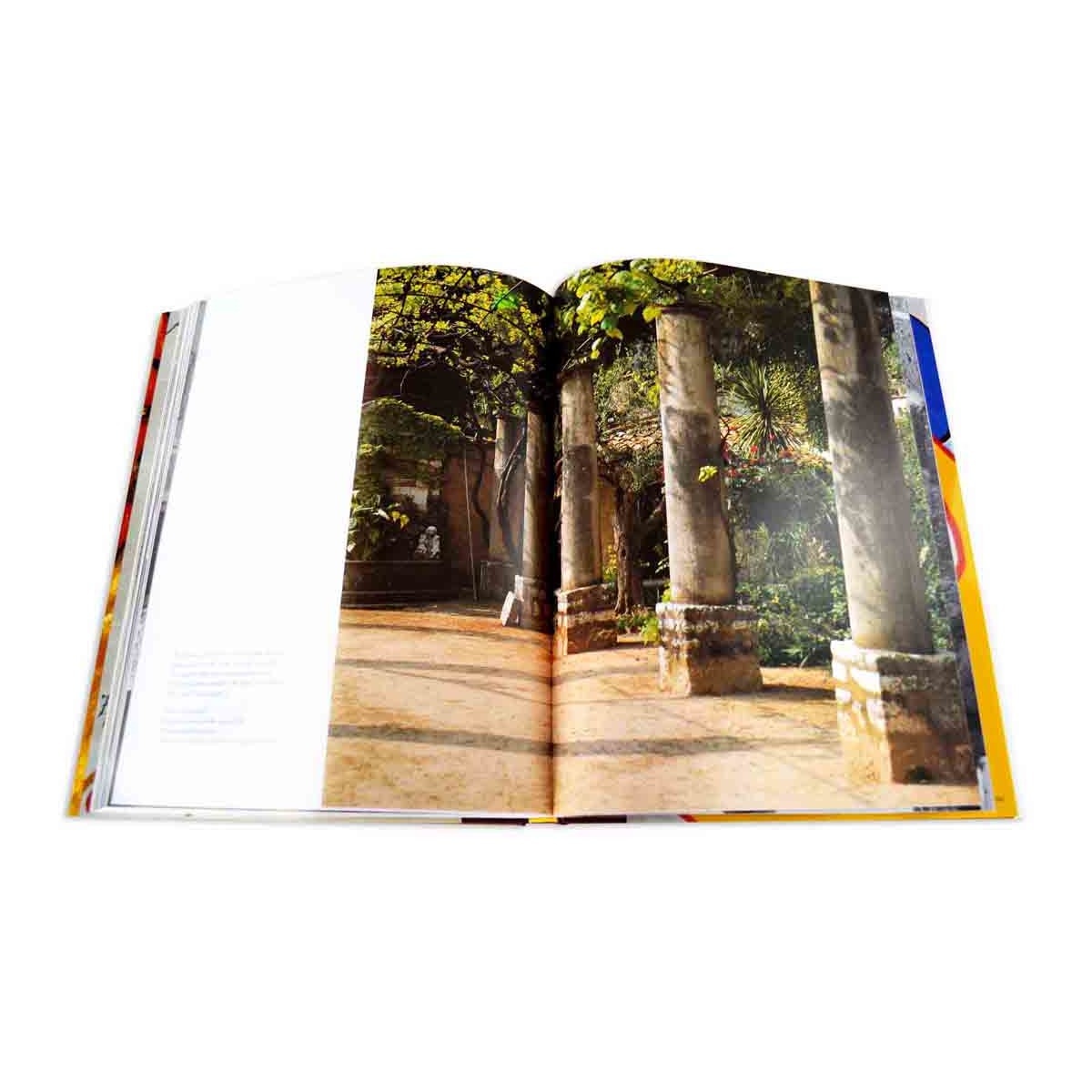 La colombe d'or 6
