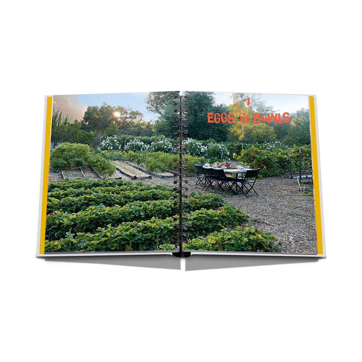The ashram: the way we eat 4
