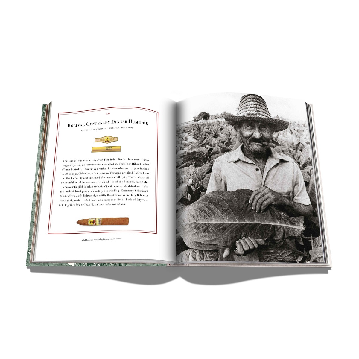 The impossible collection of cigars 7