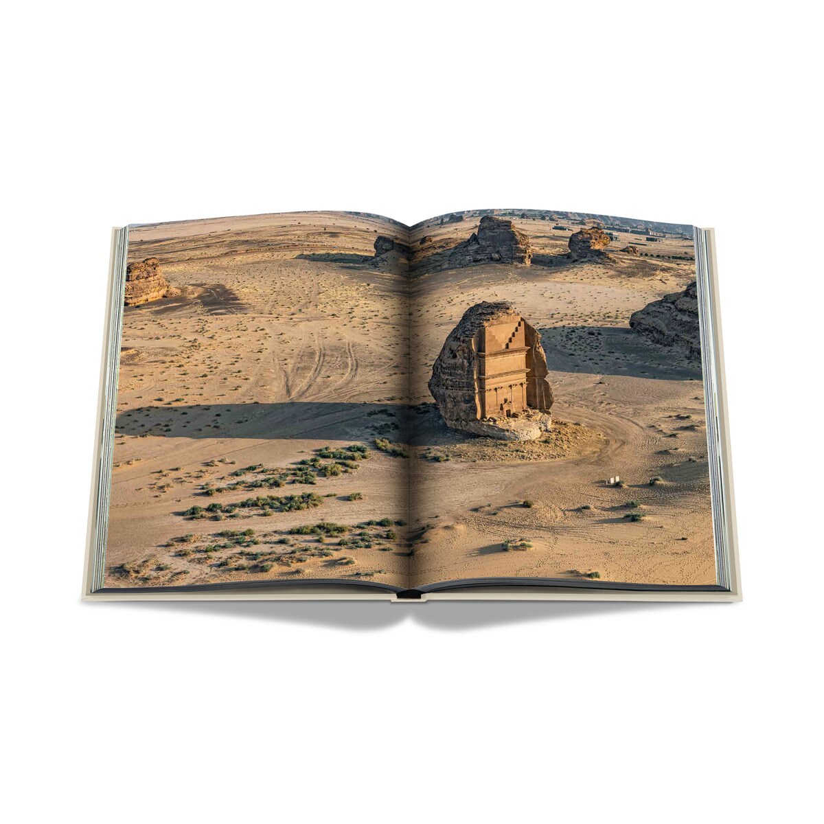 Alula 6