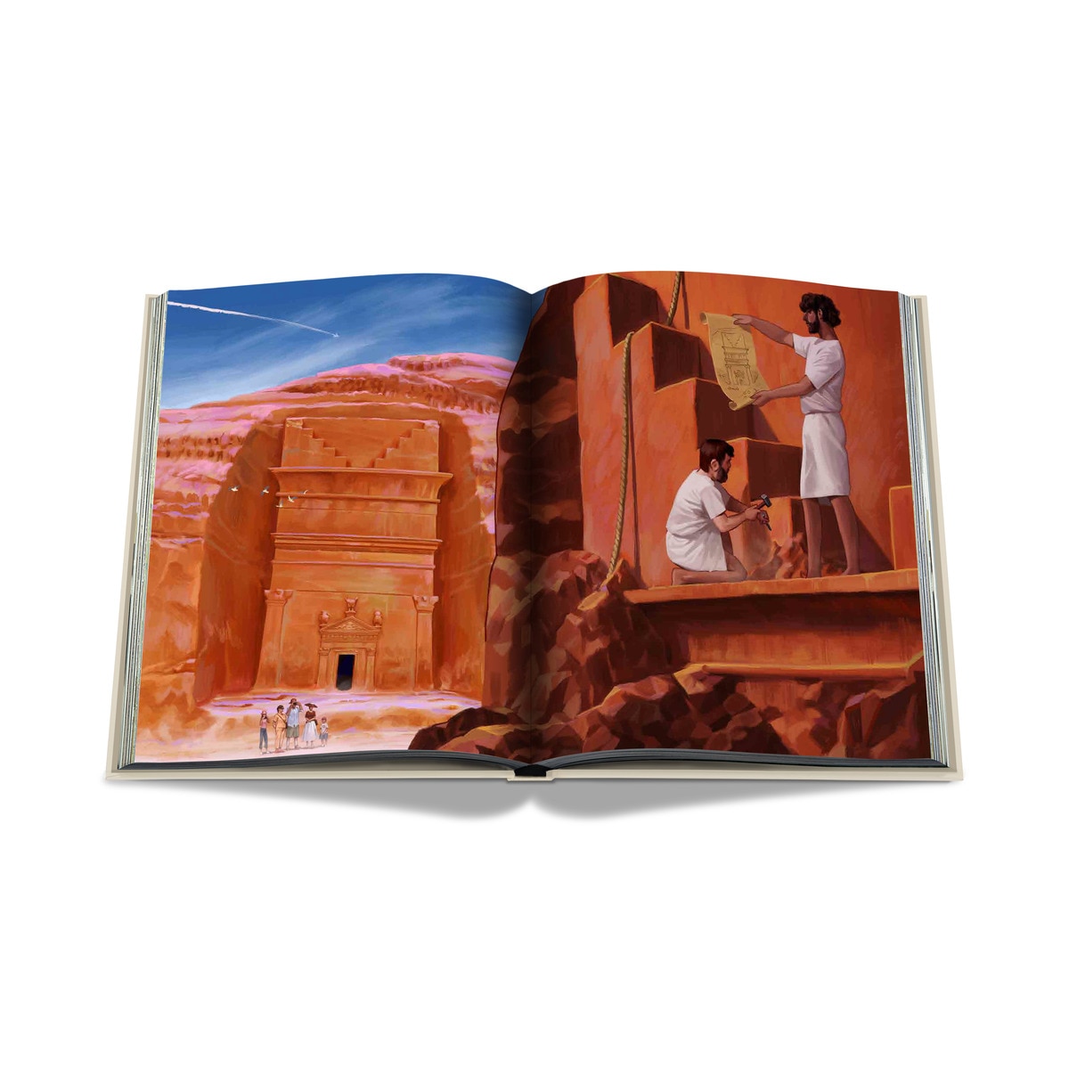 Alula 8
