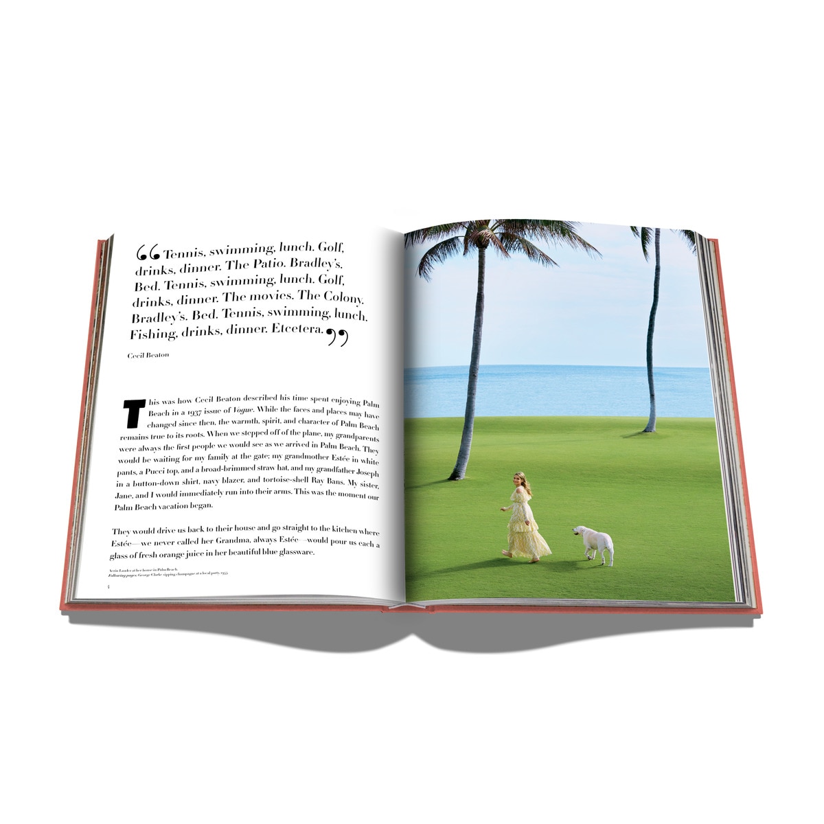 Palm beach 4