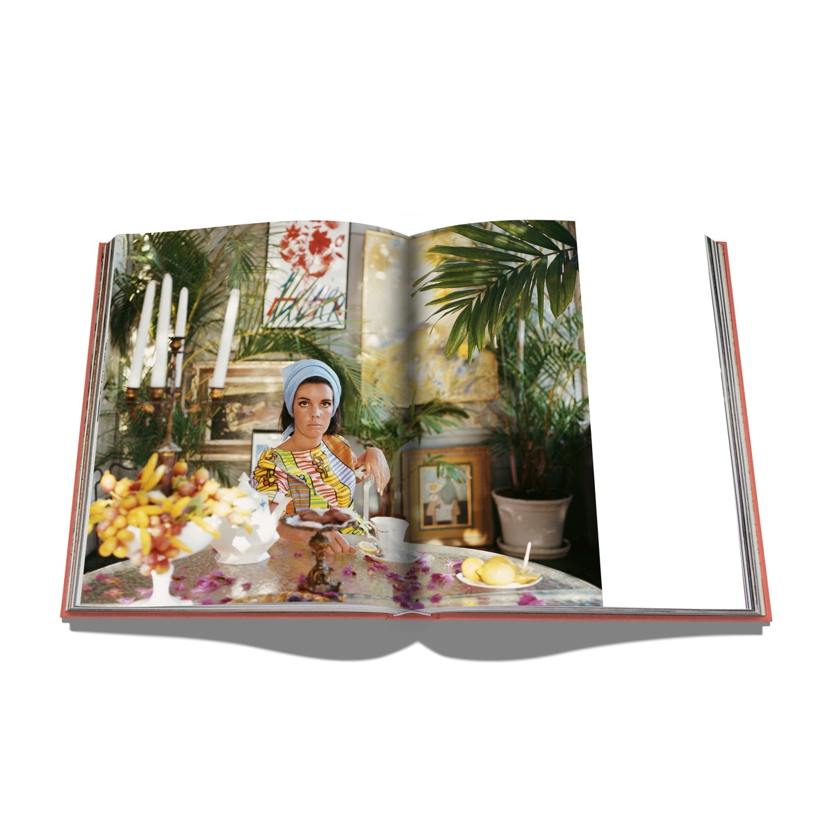 Palm beach 7