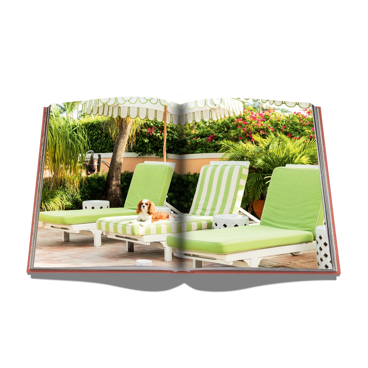 Palm beach 8