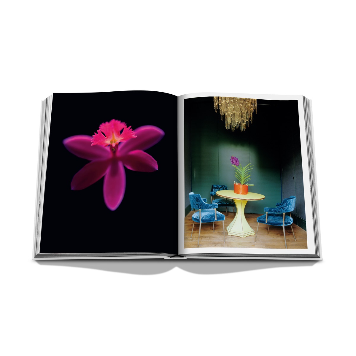 Bouquets, art & design [french] 5