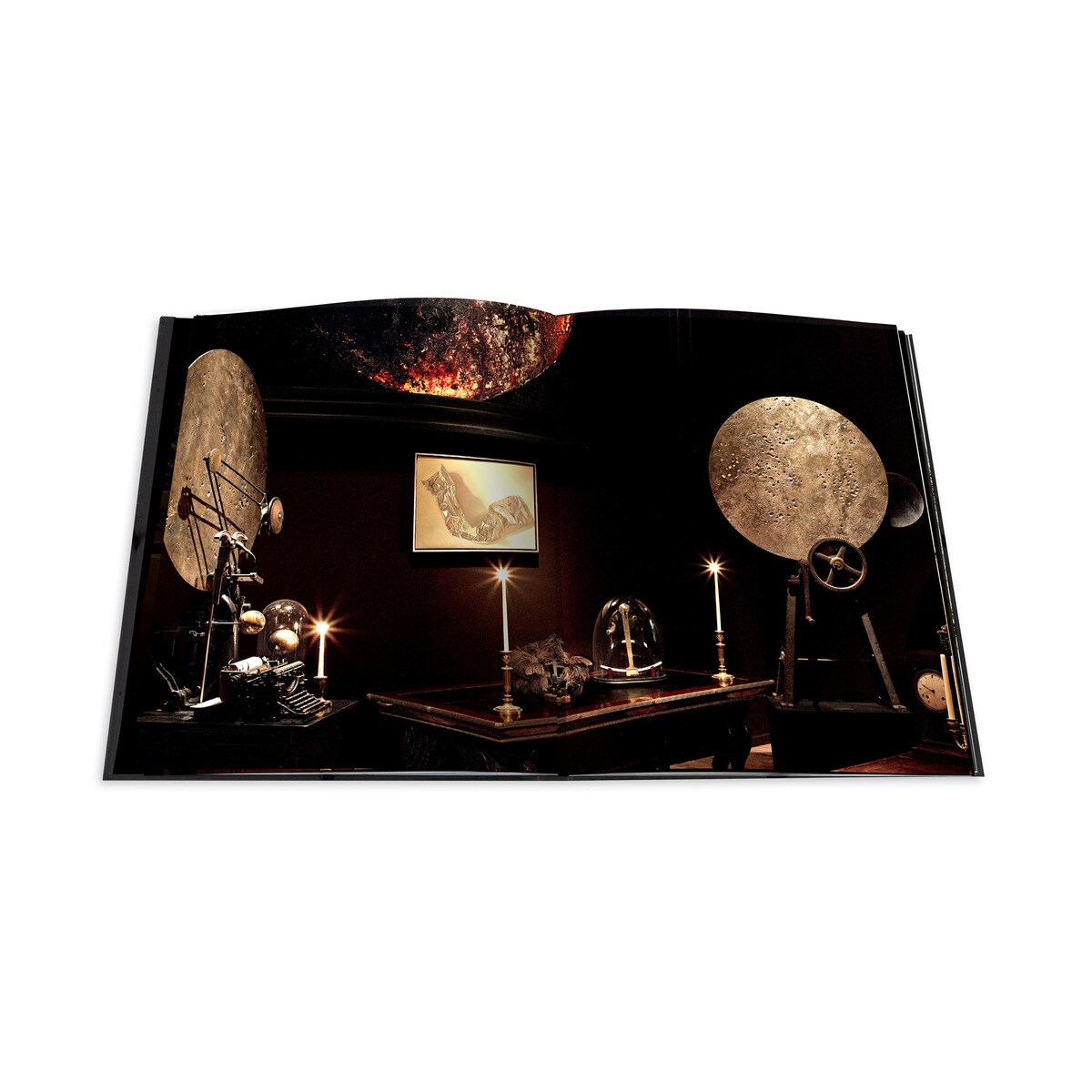 Le cabinet de curiosités 11