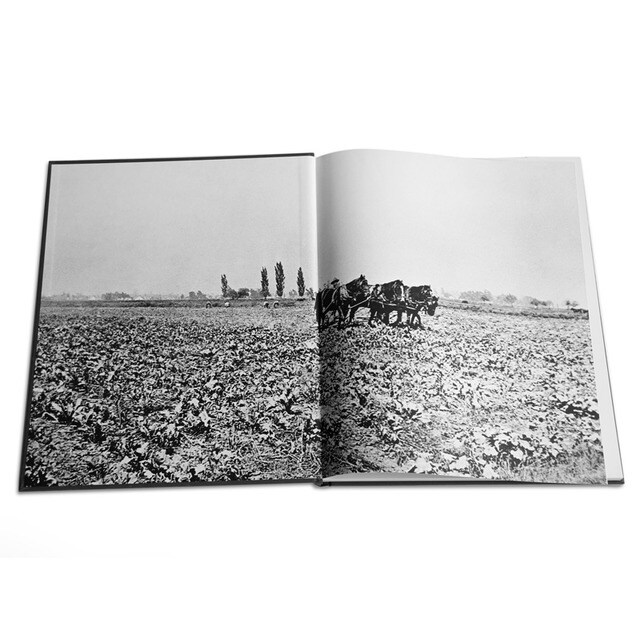 Henry t. Segerstrom art book 2