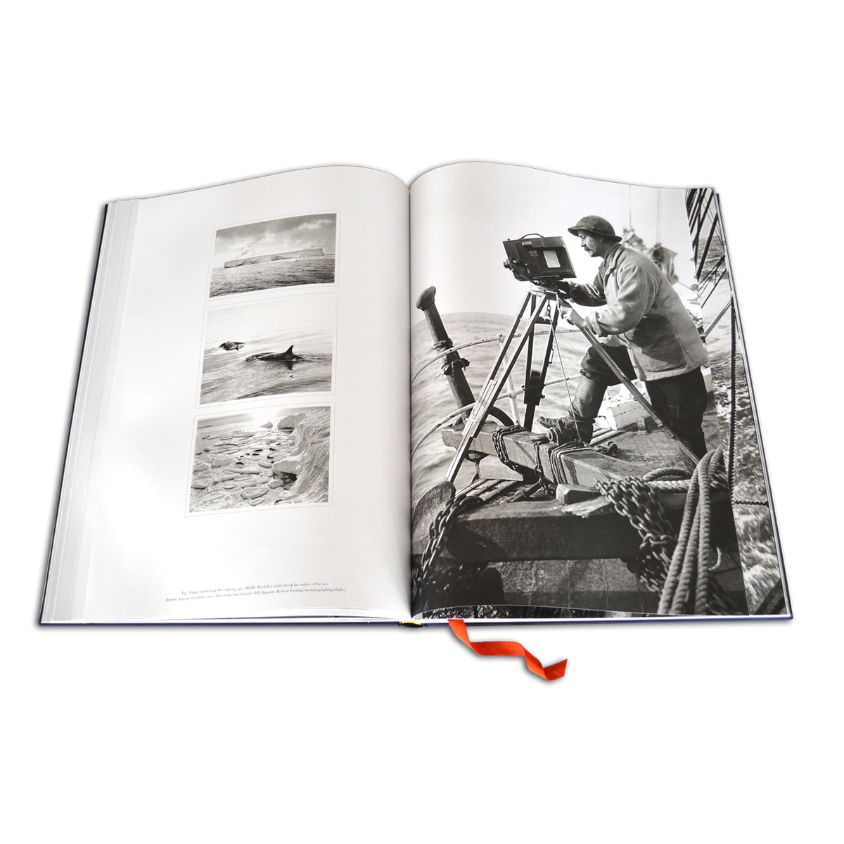 South pole: the british antarctic expedition 1910 7