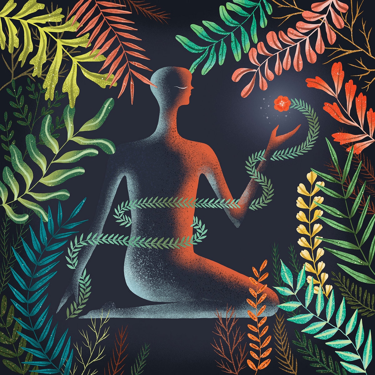 Don't Shy Awy (LP-Vinil) 1