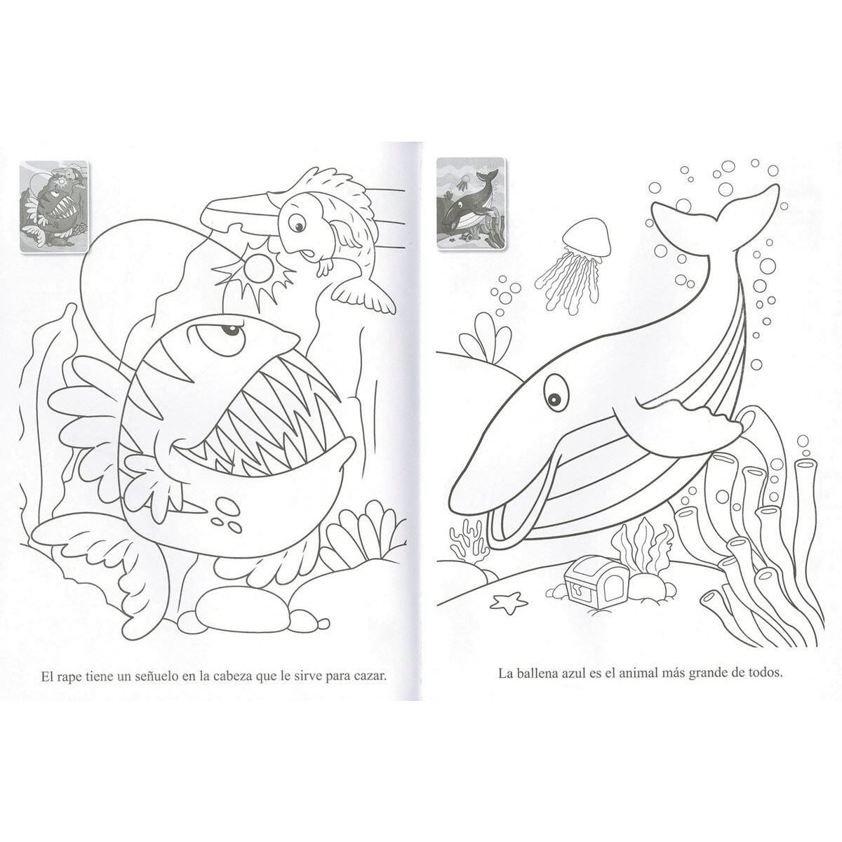 Animales del mar(Tapa blanda) 2