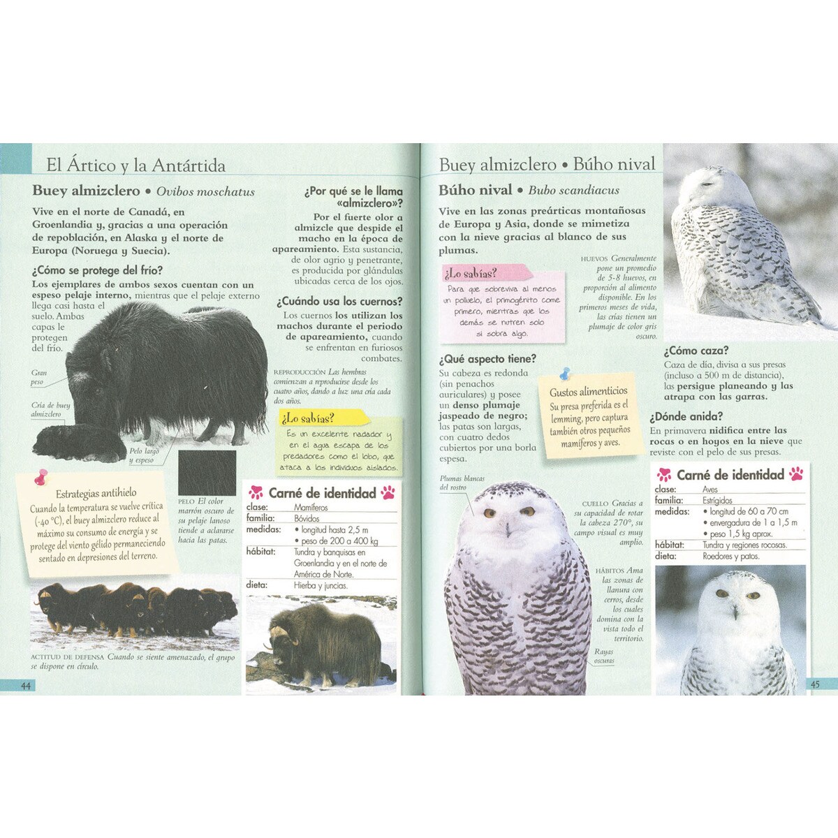 Preguntas de animales 2
