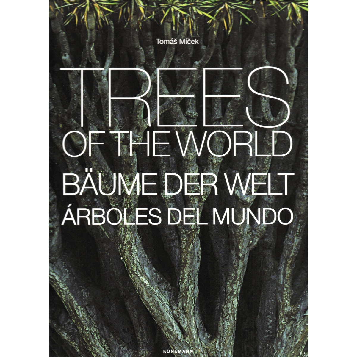Imagem 0 de Trees of the world