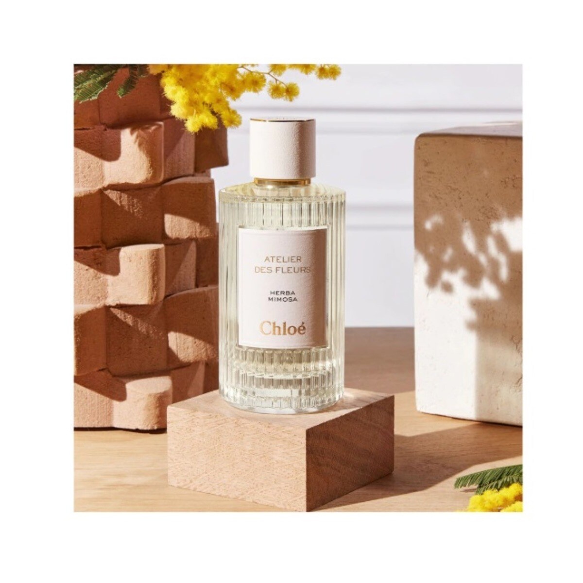 Herba Mimosa Atelier des Fleurs Eau de Parfum 3