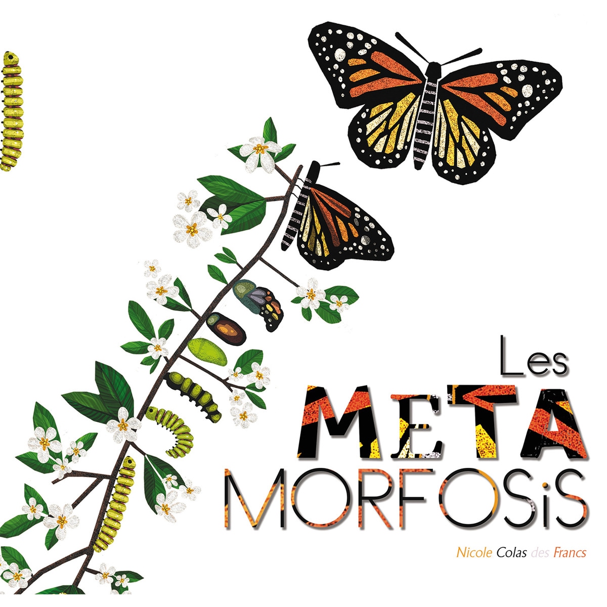 Les metamorfosis 1