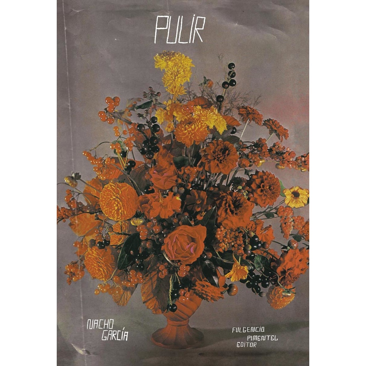 Pulir (Capa mole com abas) 1