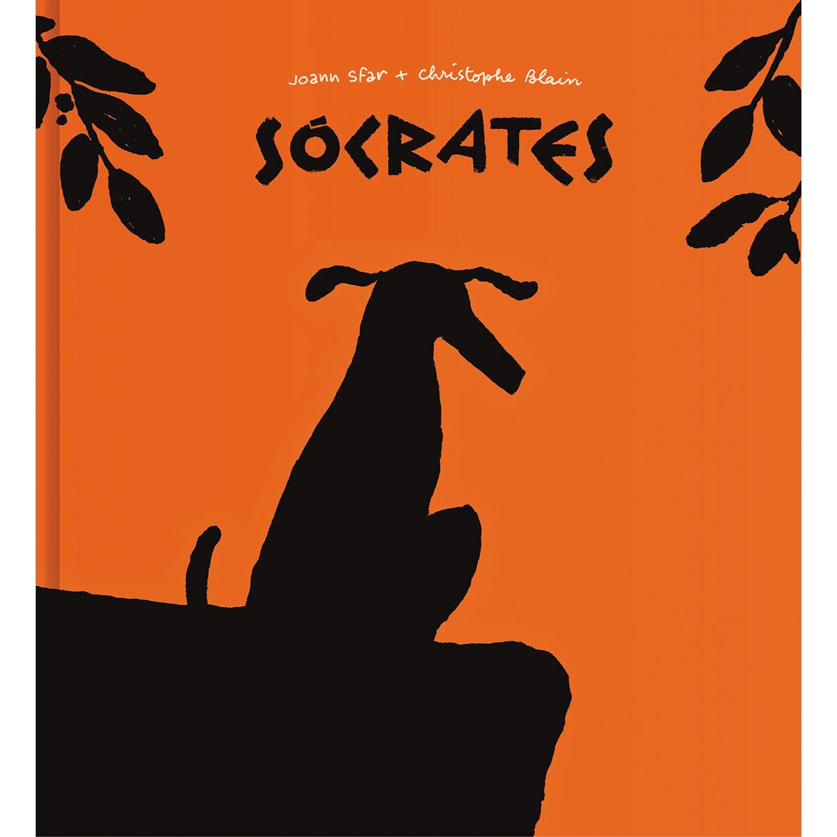 Imagem 0 de Sócrates(Tapa dura)