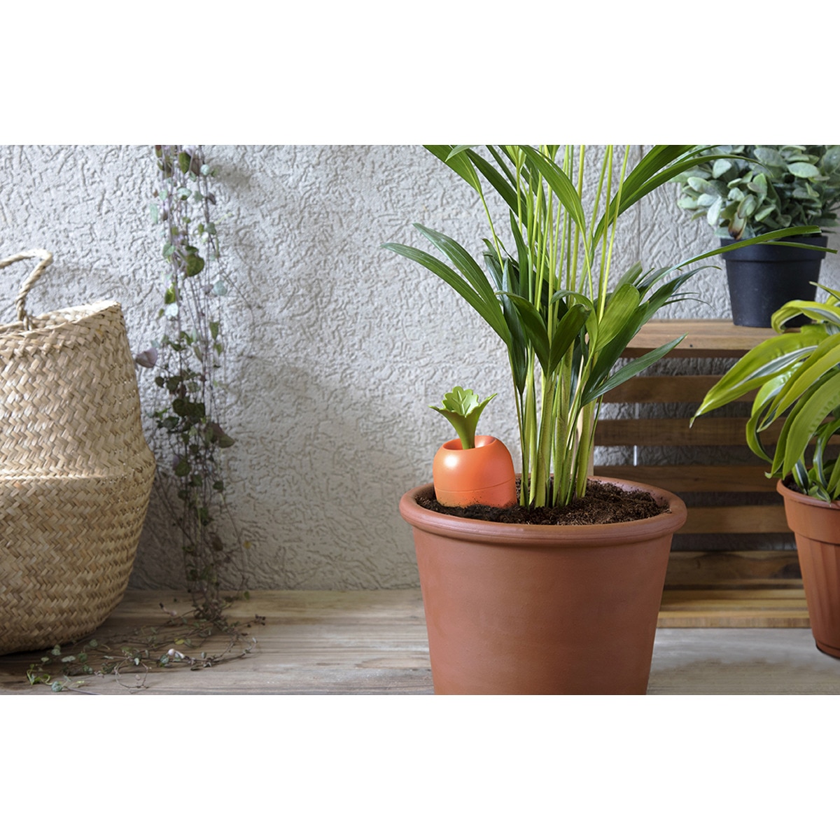 Vertedor para plantas laranja 2