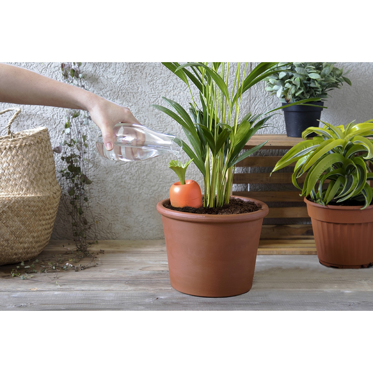 Vertedor para plantas laranja 3