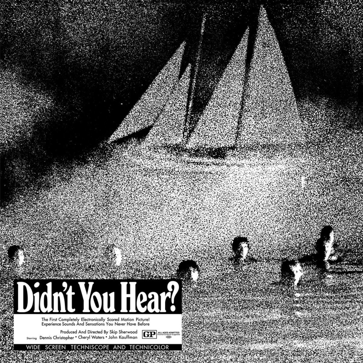 Imagem 0 de Didn't you Hear? (LP-Vinil)