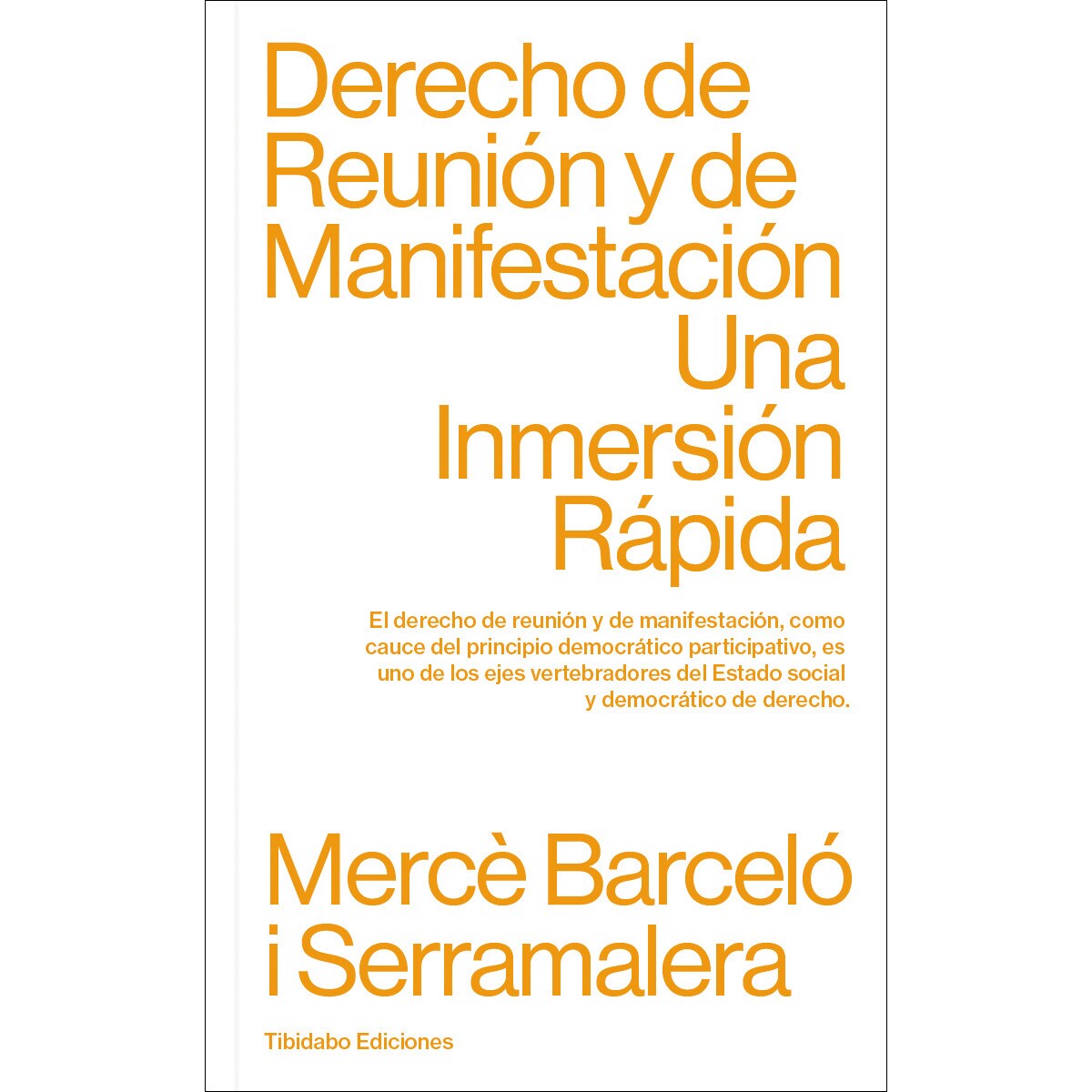 Imagem 0 de Derecho de reunión y de manifestación: Una inmersión rápida(Tapa blanda)