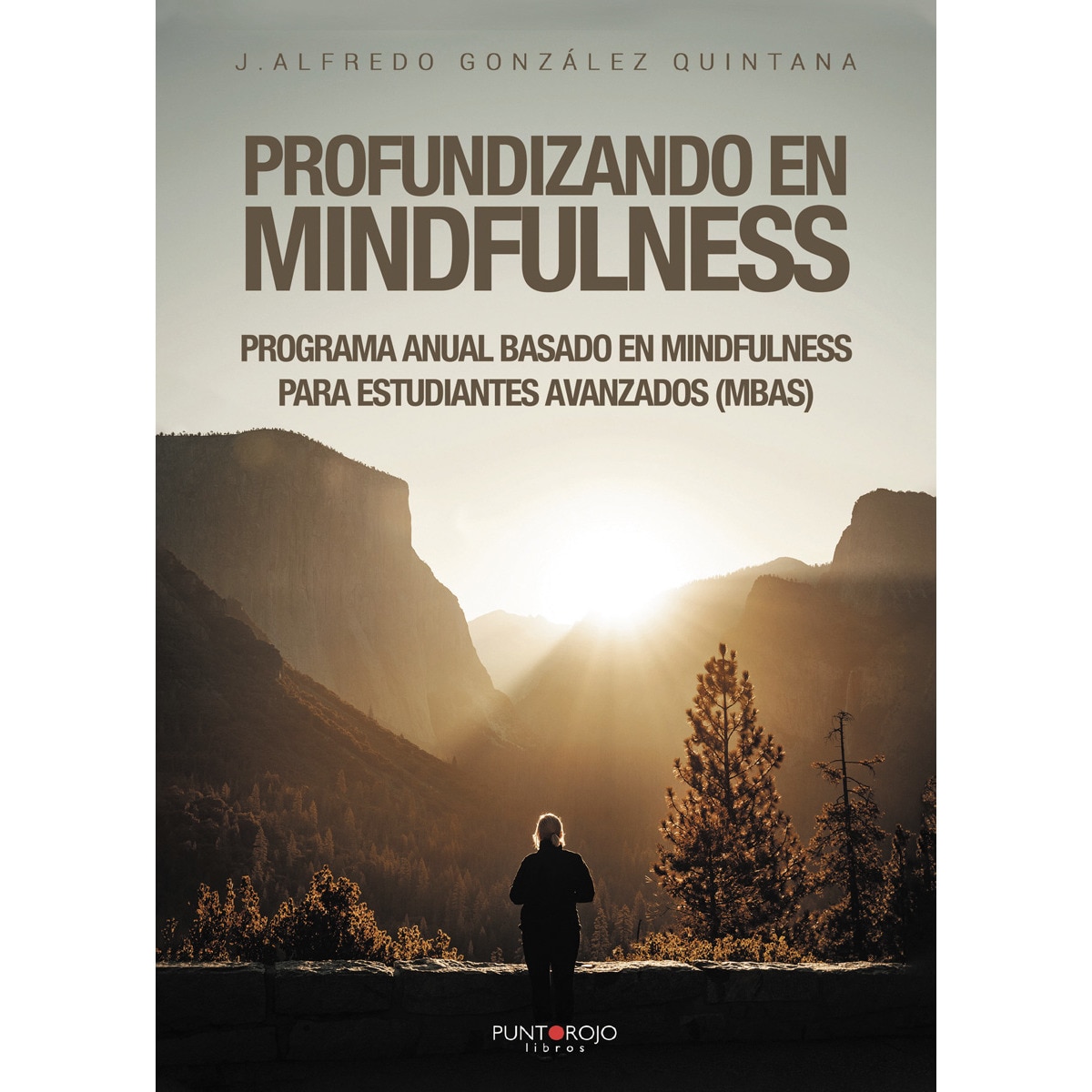 Profundizando en mindfulness(Tapa blanda) 1