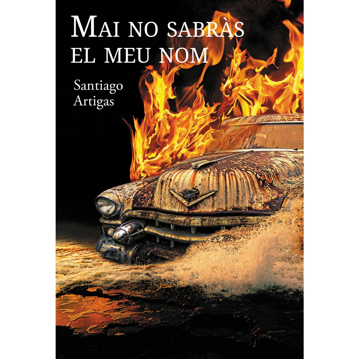 Mai no sabràs el meu nom 1