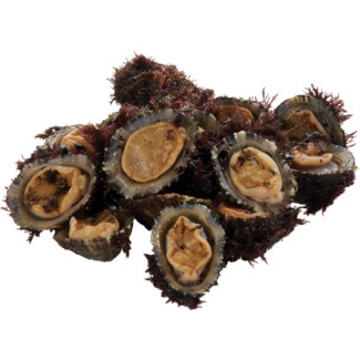 Lapas ao peso 1 kg