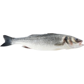 Robalo Fresco Selvagem Peso Aproximado por unidade 1,5 kg