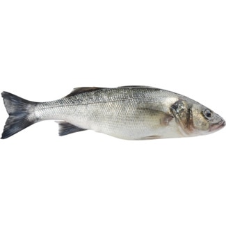 Robalo Fresco Aquicultura unidade 1 kg