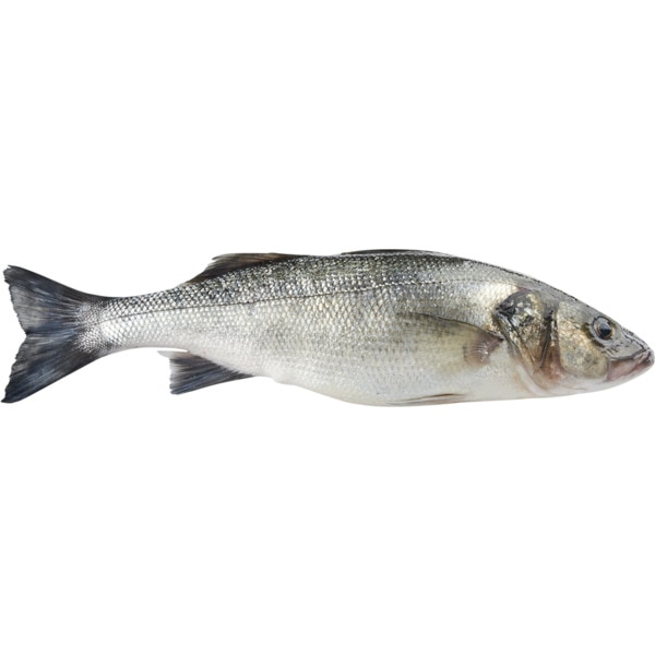 Robalo Fresco Aquicultura unidade 1 kg