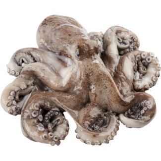 Polvo Peso Aproximado por unidade 1,5 kg