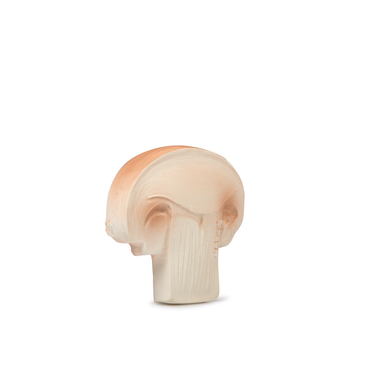 Oli&Amp;Carol - Mordedor Y Juguete De Baño Manolo The Mushroom Champiñón Blanco/Marrón