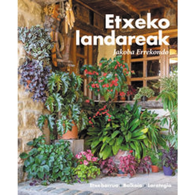 Imagem 0 de Etxeko landareak