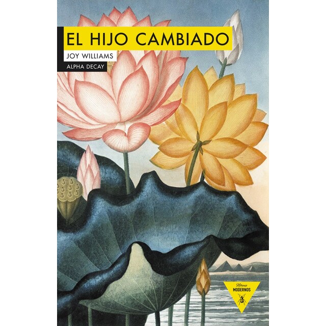 Imagen 0 de El hijo cambiado (Tapa blanda)