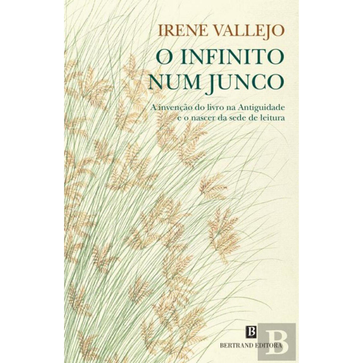 Imagem 0 de O Infinito num Junco