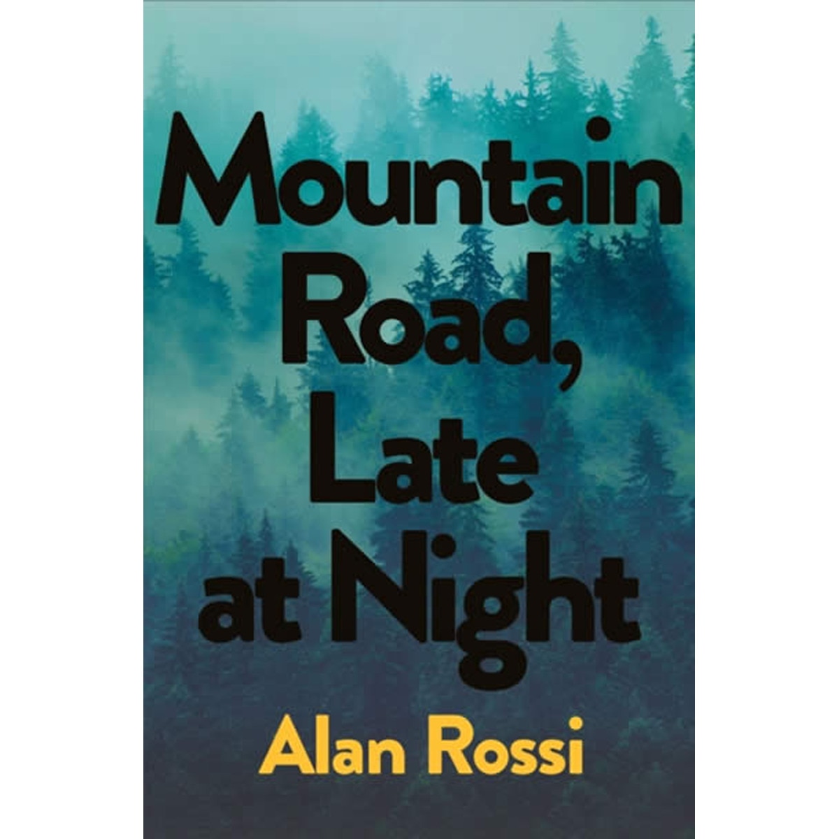 Mountain road late at night 1