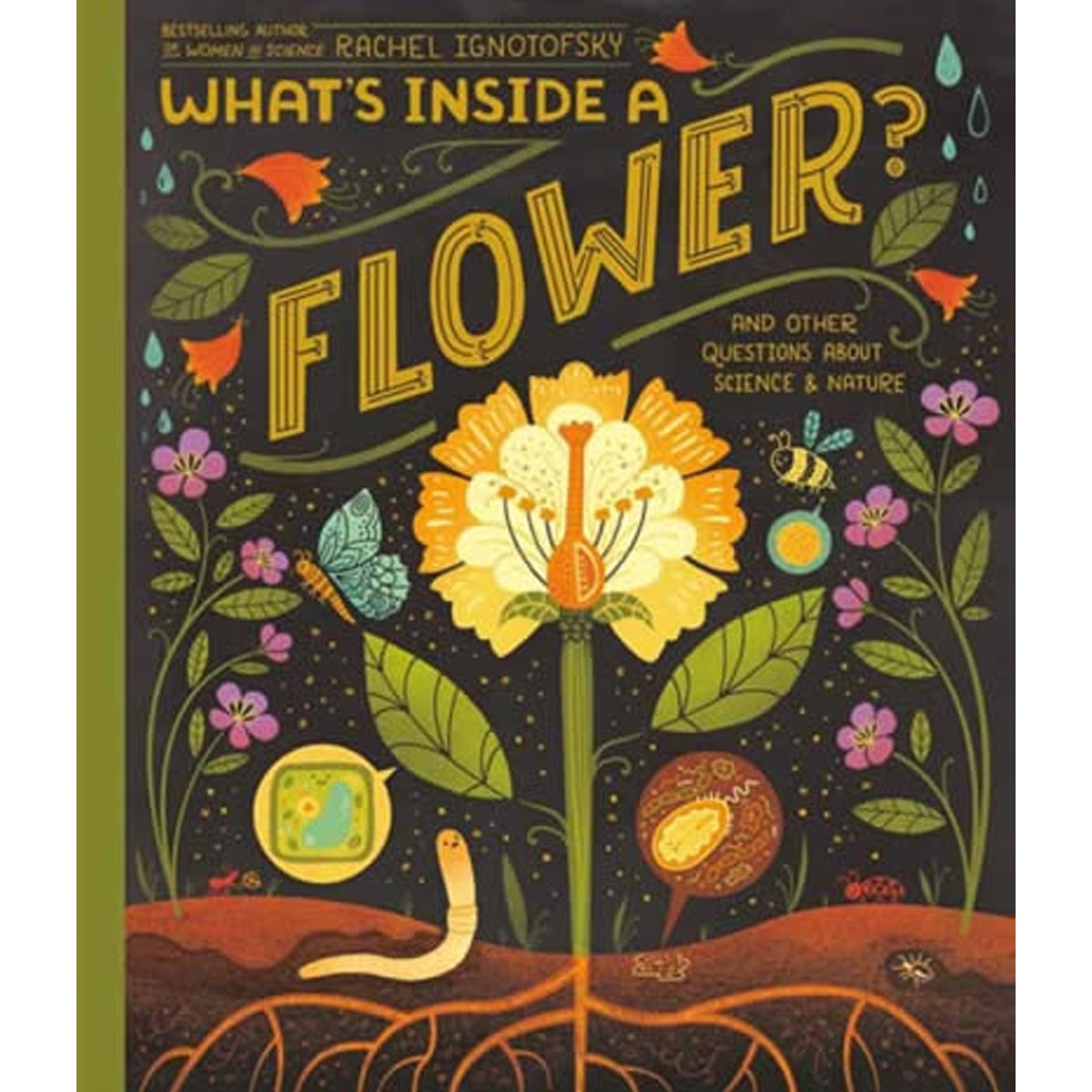 What's inside a flower? 1