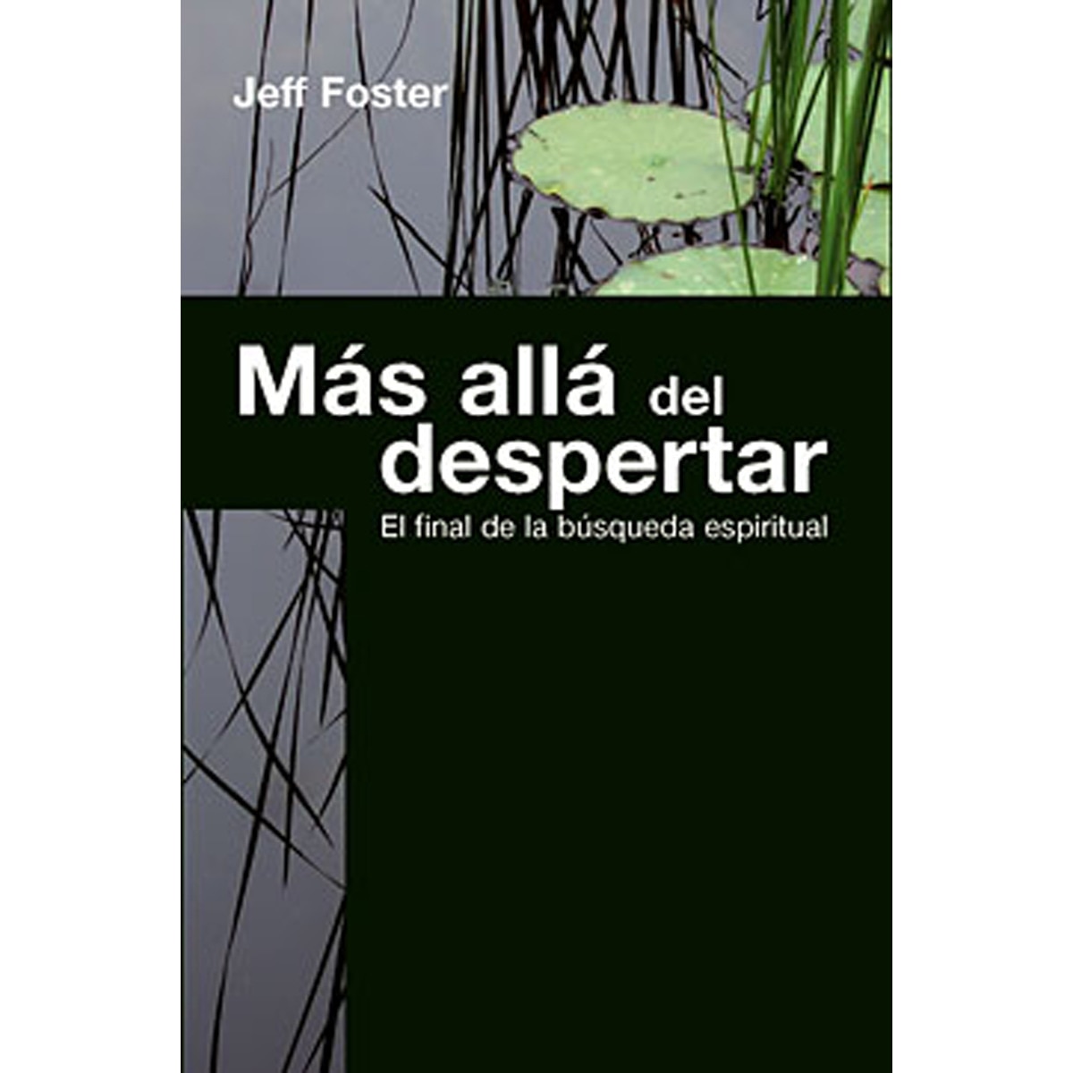 Más allá del despertar: El final de la búsqueda espiritual(Tapa blanda) 1