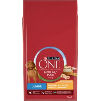 Ração para Cão Médio/Grande Junior + 10 Kg Activo de Frango e Arroz embalagem 7 kg - Purina One