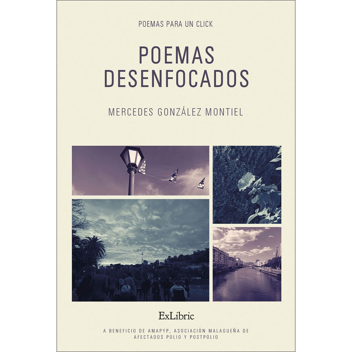 Poemas desenfocados (Tapa blanda) 1